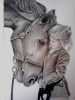 kislány és lova
