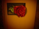 Rózsa 2 (Falfestés)