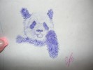 Panda WIP