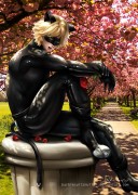 Chat Noir Spring welcome