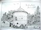 Powdery Tower-Hermannstadt