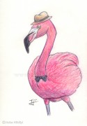 Flamingó kihívás