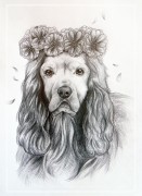 Cocker spániel virágokkal