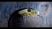 Ehnaton Pharaoh Snake