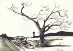 Solitude