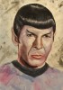 Leonard Nimoy -Mr. Spock